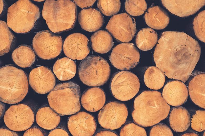 Free stock image of Wood Logs created by StockSnap