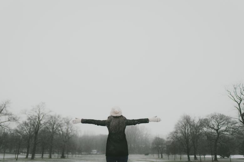 Free stock image of Winters created by StockSnap