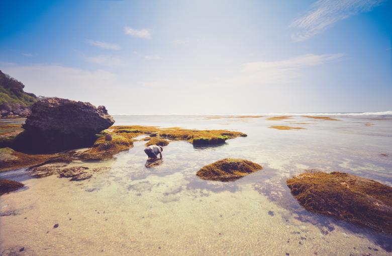 Free stock image of Man In Water created by StockSnap