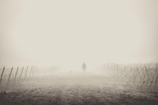 Walking Into The Mist - Free Stock Photo