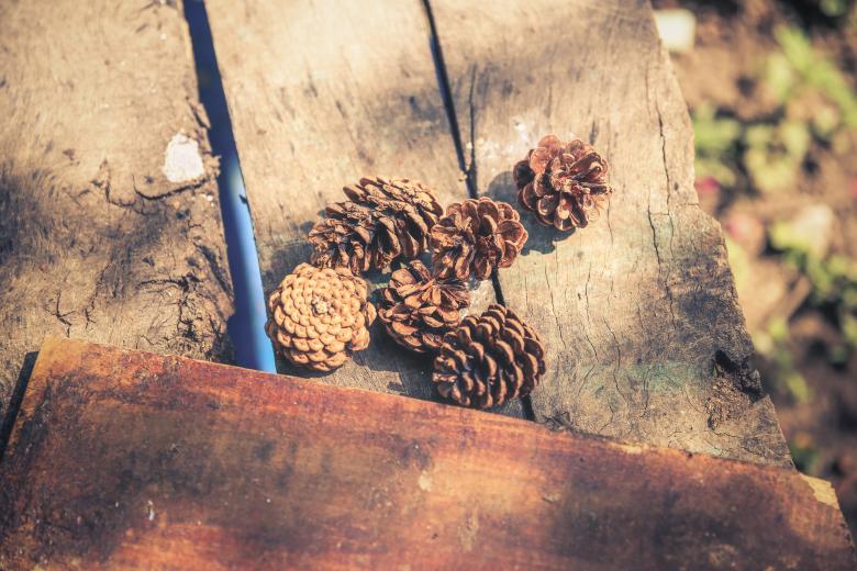 Free stock image of Wood Crafting created by StockSnap