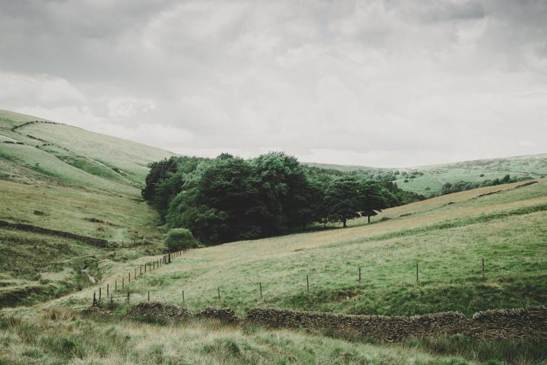 Free stock image of Field created by StockSnap