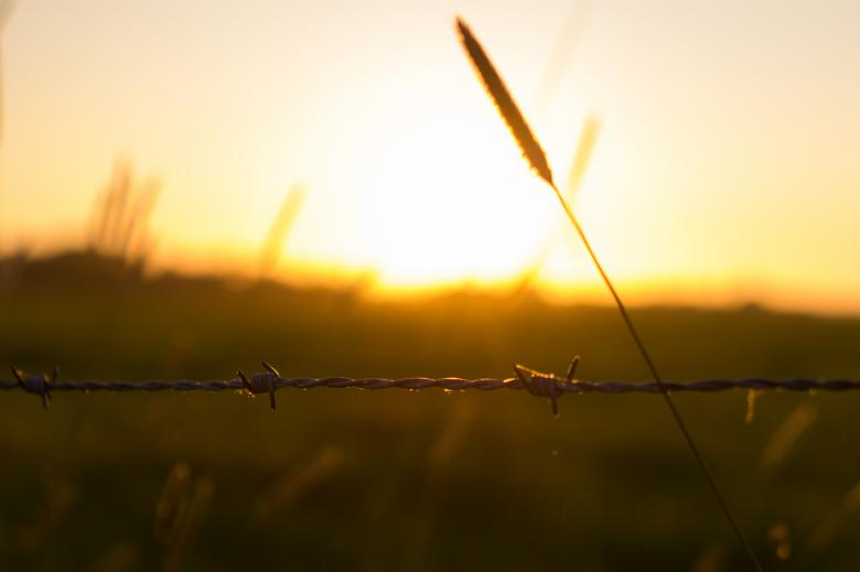 Free stock image of Sunset created by StockSnap