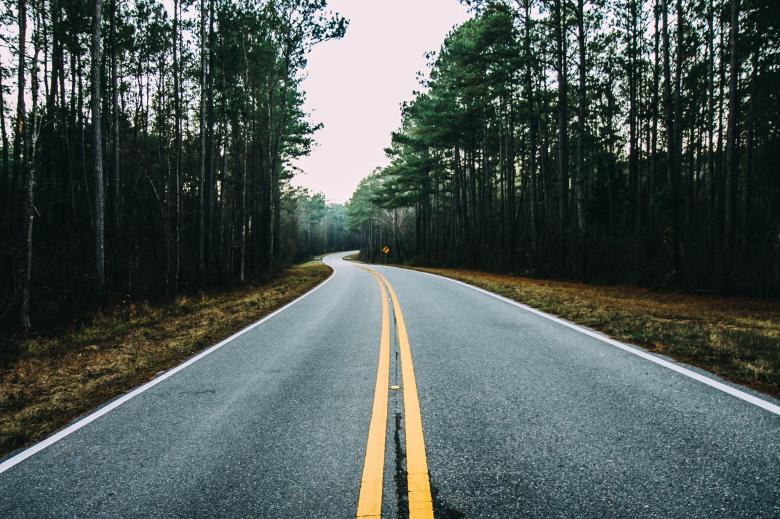 Free stock image of Road In The jungle created by StockSnap