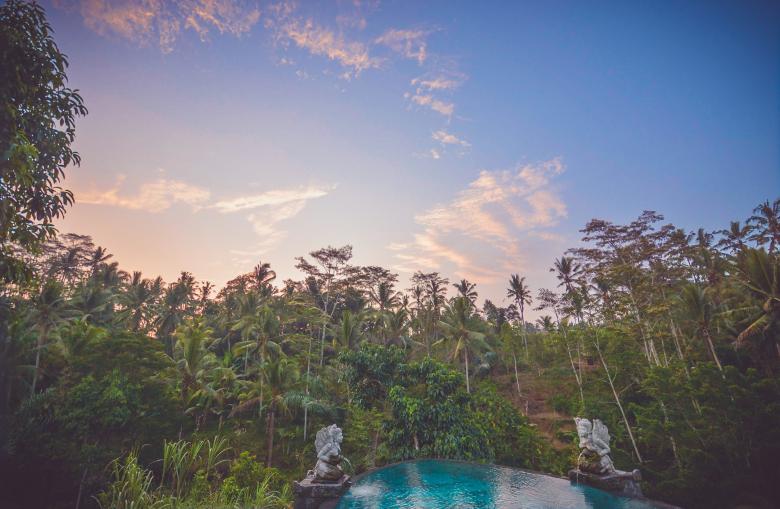 Free stock image of Trees created by StockSnap