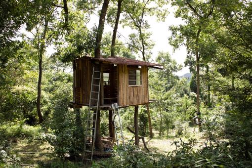 Free Stock Photo of Wooden House in the Woods