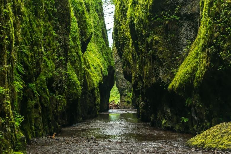 Free stock image of Nature's way created by Unsplash