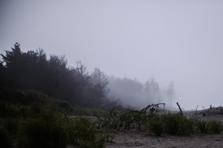Free stock image of Foggy created by Unsplash