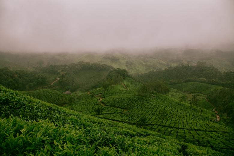 Free stock image of Green Landscape created by Unsplash