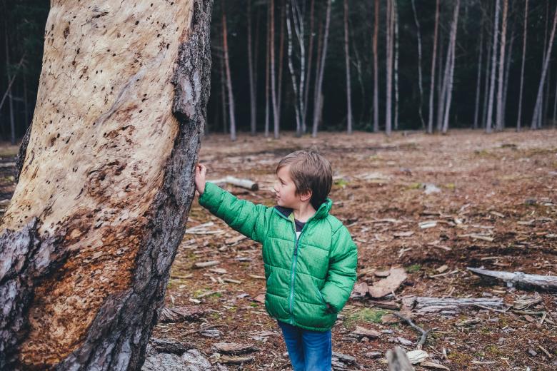 Free stock image of Kid with a pose created by Unsplash