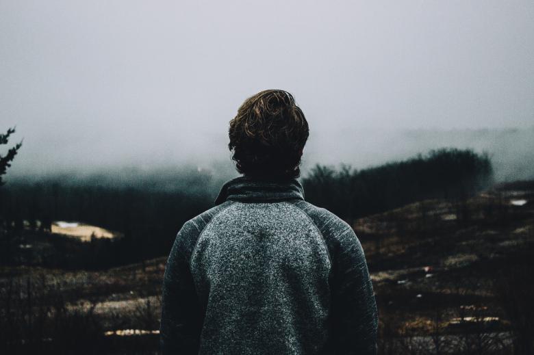 Free stock image of Observing Nature created by Unsplash