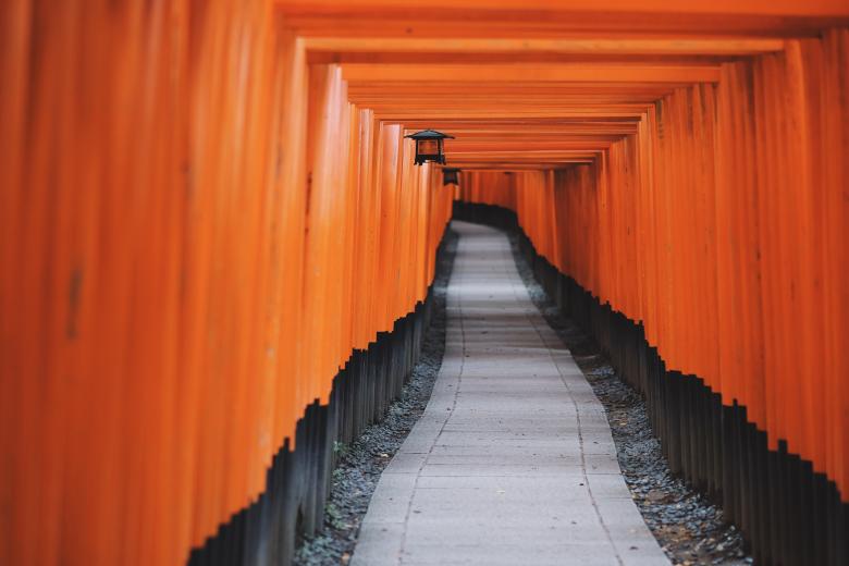 Free stock image of Path created by Unsplash