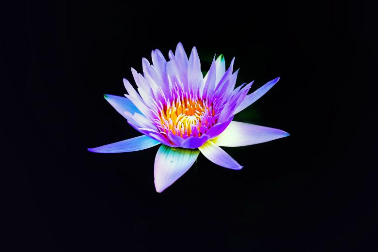 Free stock image of Colorful created by Unsplash