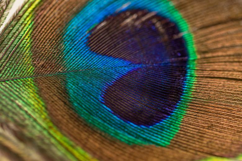 Free stock image of Colorful created by Unsplash