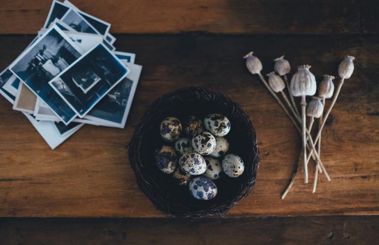 Free stock image of Eggs created by Unsplash
