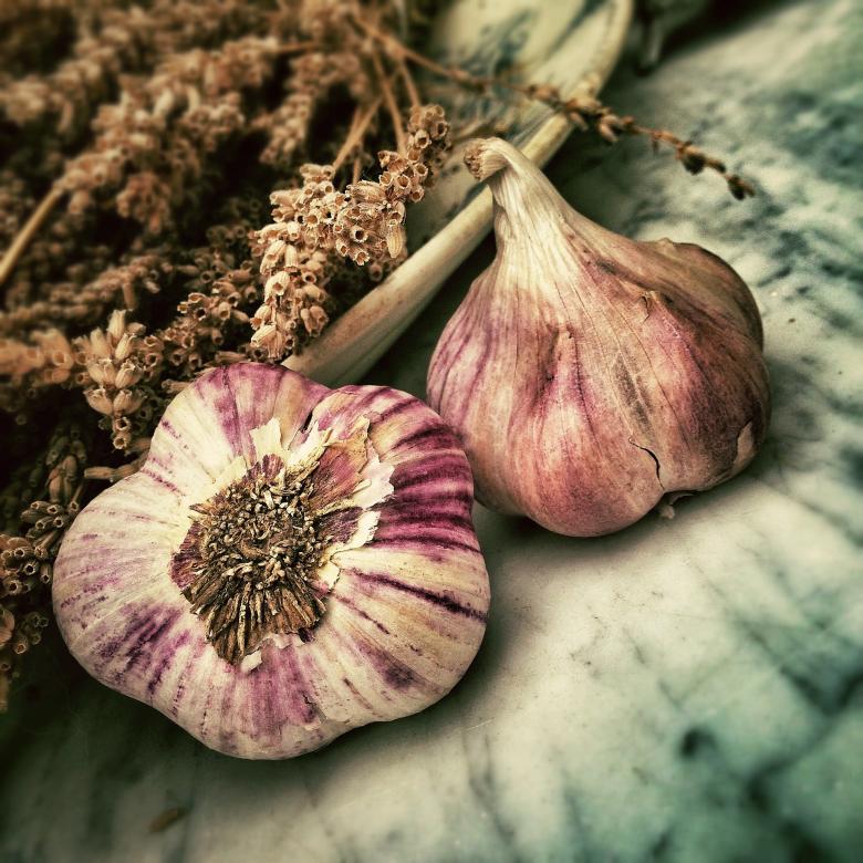 Free stock image of Garlic created by StockSnap