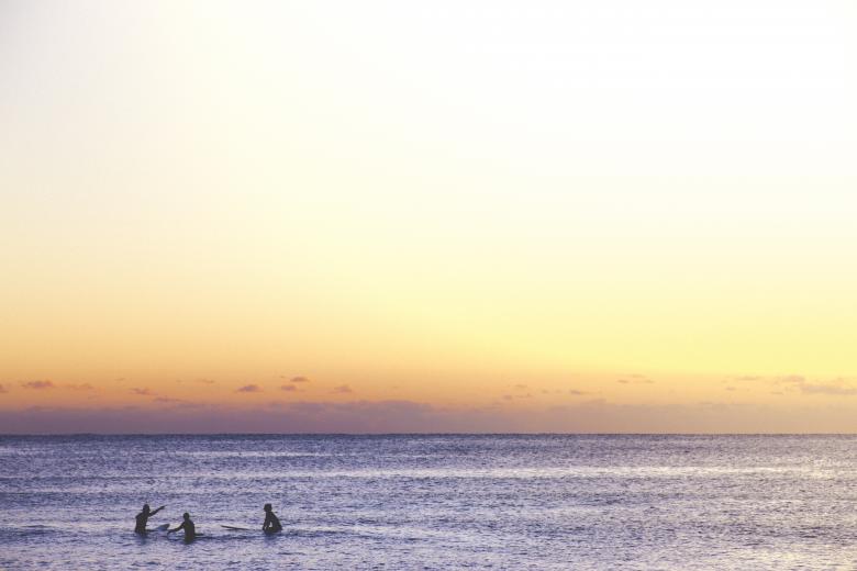 Free stock image of Surfers created by StockSnap