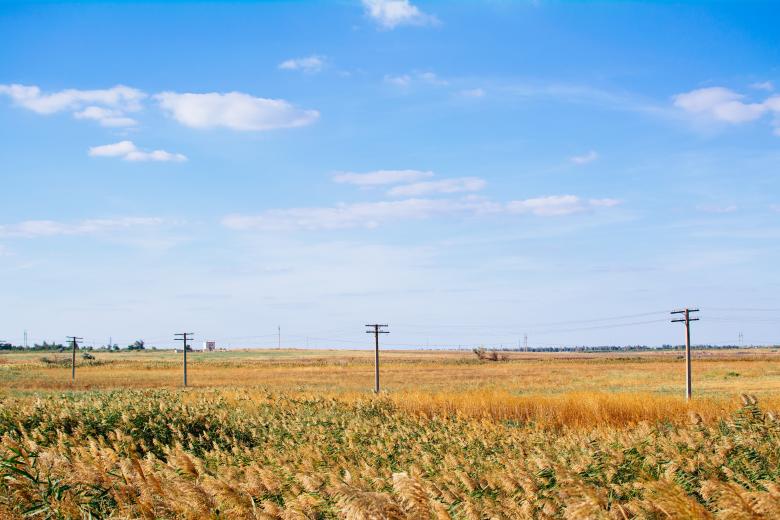 Free stock image of Field created by StockSnap