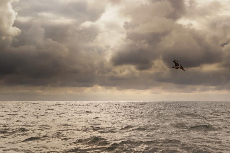 Free stock image of Sea created by StockSnap
