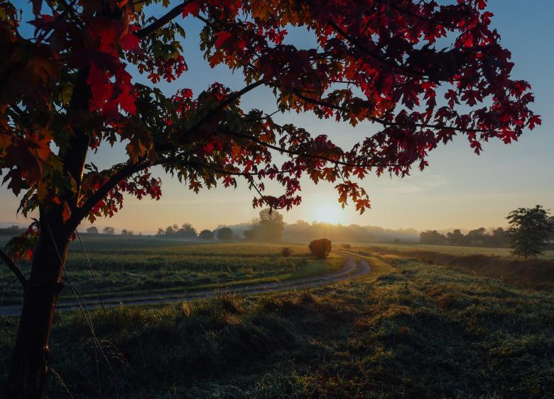 Free stock image of Field created by StockSnap