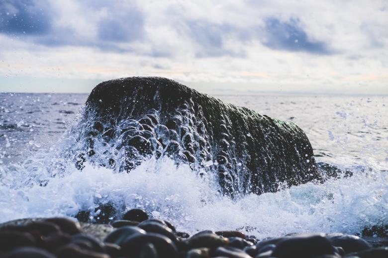 Free stock image of Shore created by StockSnap