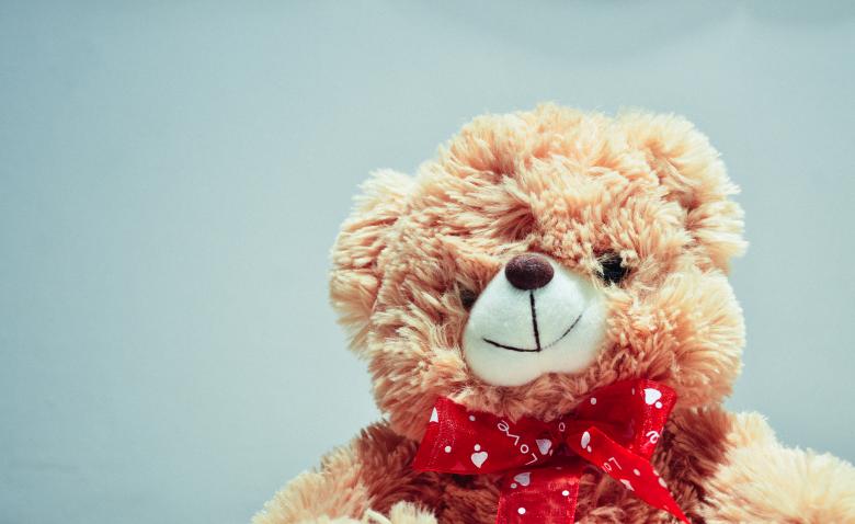 Free stock image of Bear created by StockSnap