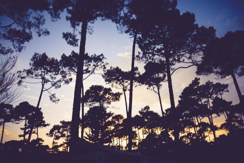 Free stock image of Sunset created by StockSnap