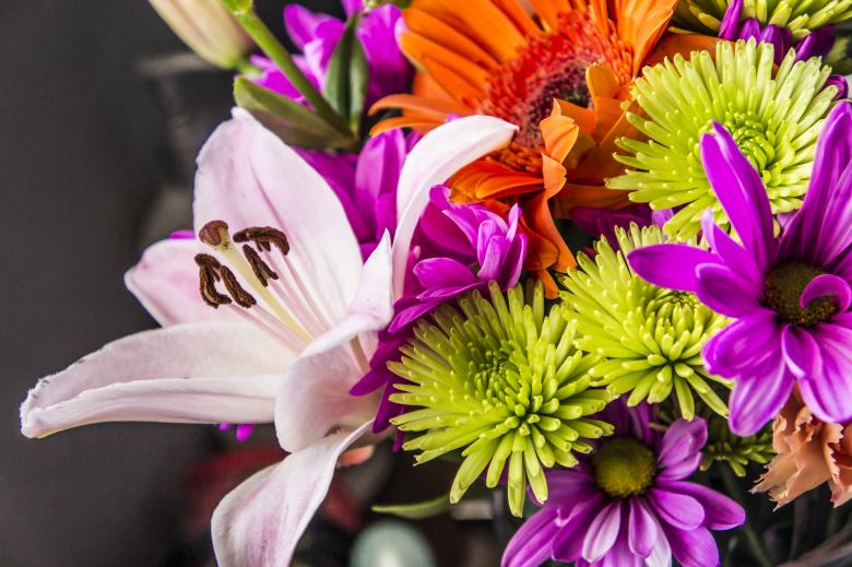 Free stock image of Flowers created by StockSnap