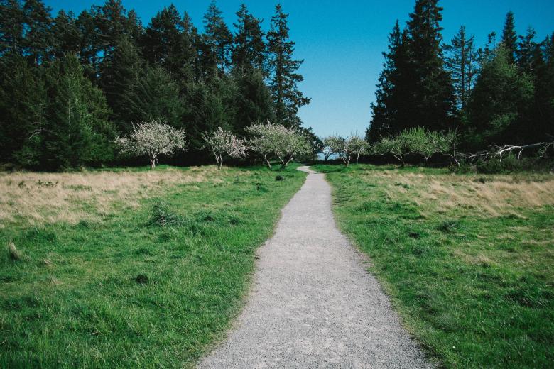 Free stock image of Path created by Unsplash
