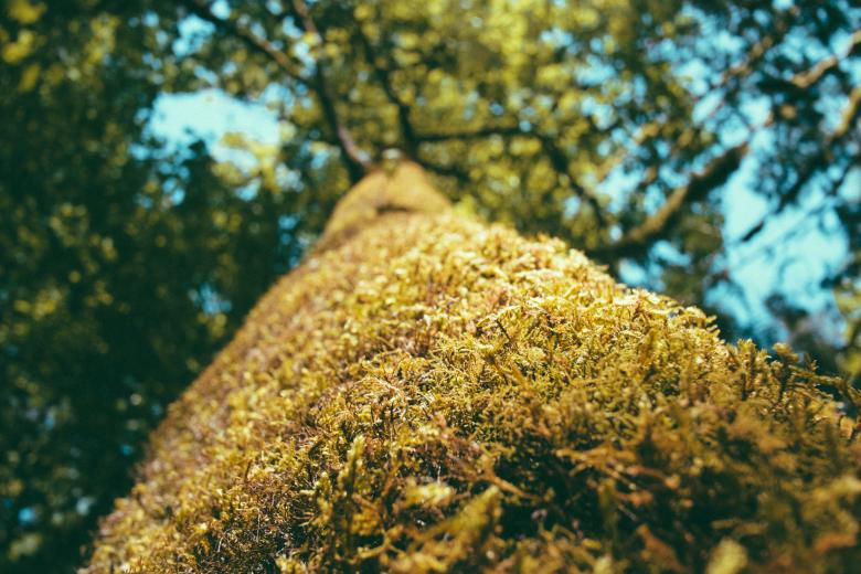 Free stock image of Focus created by Unsplash