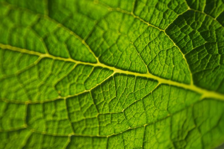 Free stock image of Zoom created by Unsplash