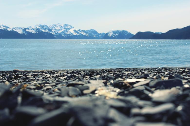 Free stock image of Nature created by Unsplash