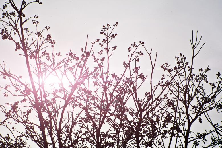 Free stock image of Bright created by Unsplash