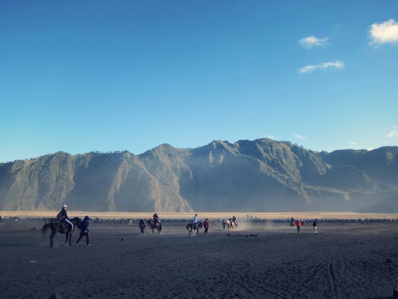 Free stock image of Horse Riding created by Unsplash