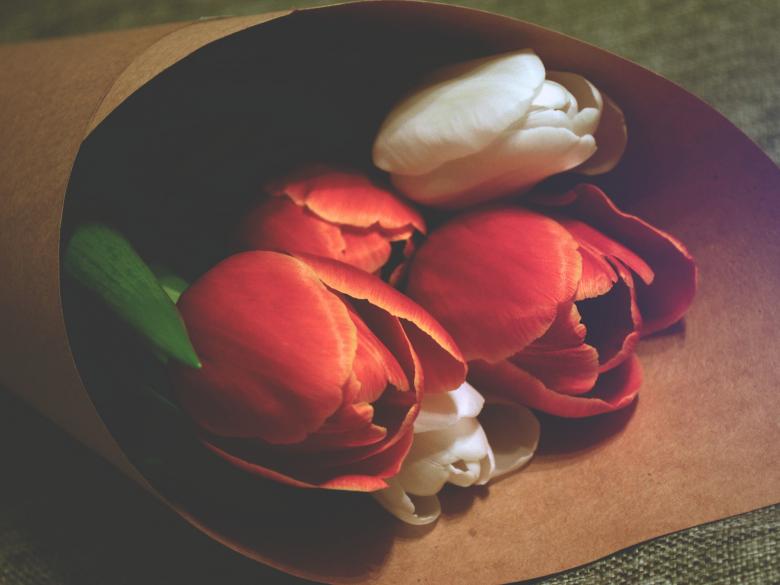 Free stock image of Red and White Flowers created by Unsplash