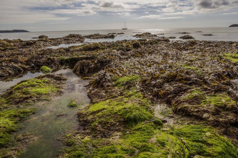 Free stock image of Shore created by Unsplash