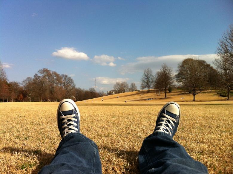 Free stock image of Lying on the Field created by Unsplash