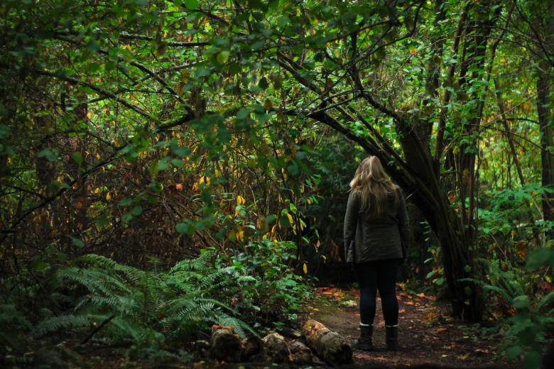 Free stock image of Into the Wild created by Unsplash