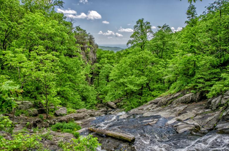 Free stock image of Lush Green created by Unsplash