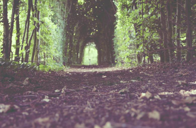 Free stock image of Path created by Unsplash