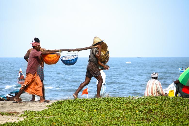 Free stock image of Fisher men created by Unsplash