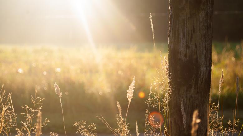 Free stock image of Bright created by Unsplash
