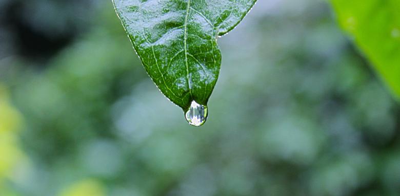 Free stock image of Zoomed in  created by Unsplash