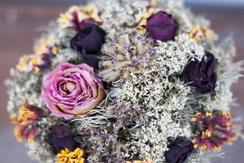 Free stock image of Flowers created by Unsplash
