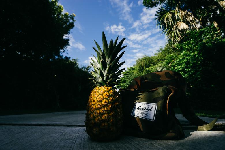 Free stock image of Pineapple created by Unsplash