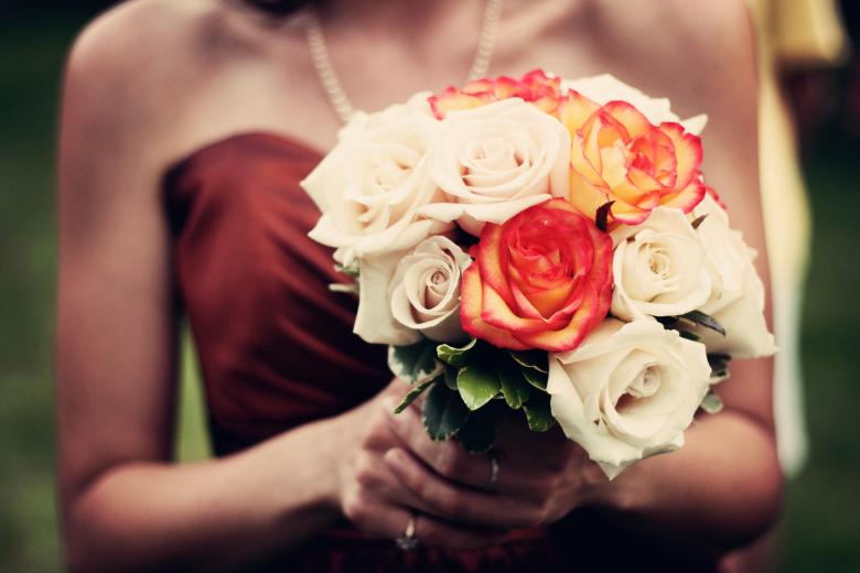 Free stock image of White and Red Roses created by Unsplash