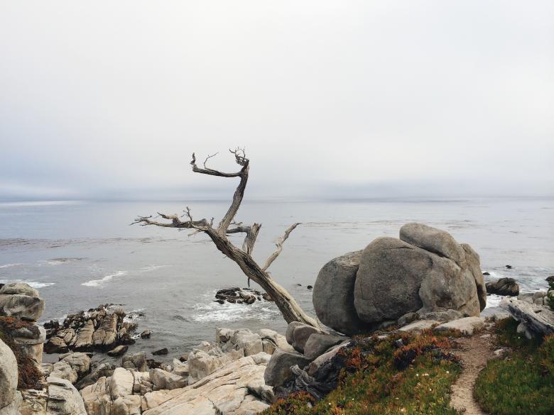 Free stock image of Shore created by Unsplash