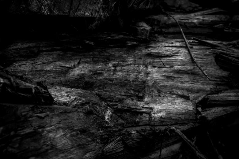 Free stock image of Burned Wood Texture created by Free Texture Friday