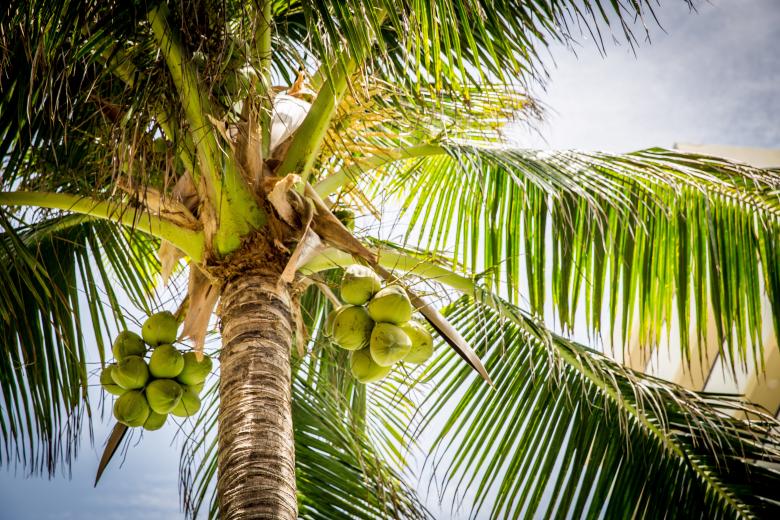 Free stock image of Beach created by Pixabay