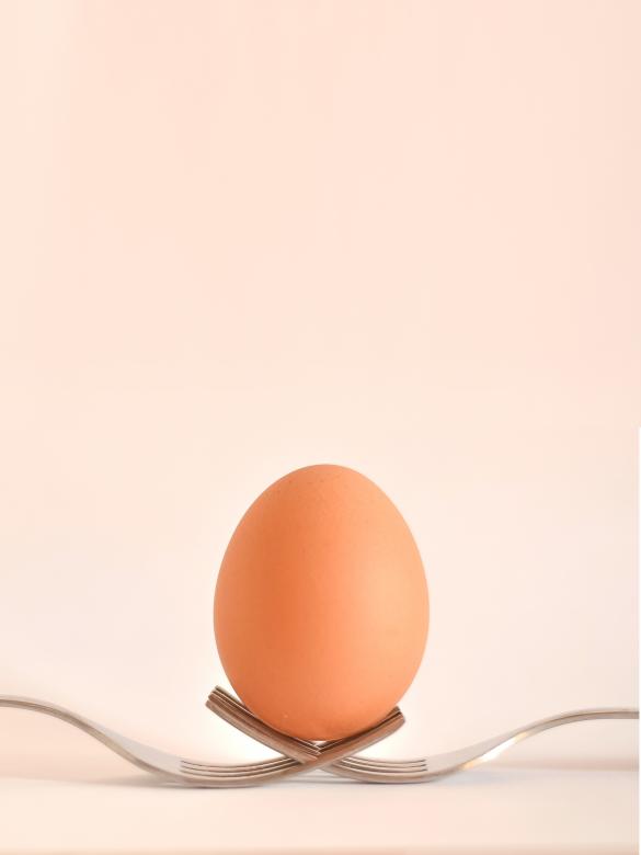 Free stock image of Egg created by Pixabay